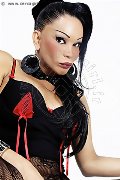Foto 0033627331997 Belle Marcia Paris Transescort Parigi - 147