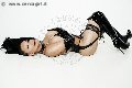 Foto 0033627331997 Belle Marcia Paris Transescort Parigi - 238