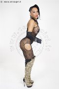 Foto 0033627331997 Belle Marcia Paris Transescort Parigi - 188