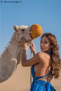 Foto 0033786223810 Elita Transescort Nizza - 2