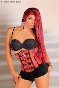Foto 0034602633849 Ariadna Travescort Malaga - 3