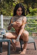 Foto 0034612216651 Ts Clary Santos Transescort Madrid - 10