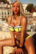 Foto 0034617911341 Nina La Divina Trans Ibiza - 156
