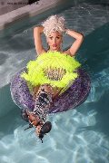 Foto 0034617911341 Nina La Divina Transescort Ibiza - 82