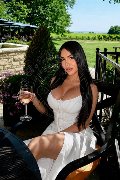 Foto 0034671758058 Mishelli Trans Marbella - 3
