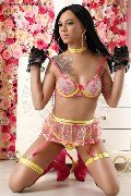 Foto 004901638379884 Gabriella Ts Trans Brema - 9