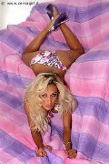 Foto 004915143341120 New Raffaella Trans Offenbach - 8