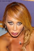 Foto 004915222887840 Brenda Vip Trans Friburgo In Brisgovia - 52