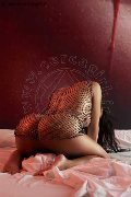 Foto 00573118794349 Candy Michelle Trans C�cuta - 5