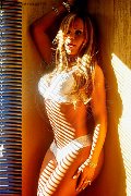 Foto 3200397565 Eva B  Transescort Milano - 216