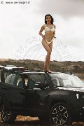 Foto 3245846577 Vanessa Hilton Trans Modena - 110