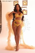 Foto 3247827663 Al�cia Lins Trans Milano - 27