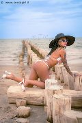 Foto 3280291220 Diana Marini Trans - 55