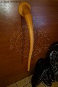 Foto 3287753444 Mistress Diana Queen Mistress Verona - 11