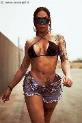 Foto 3313258034 Bambola Transescort Sassari - 4