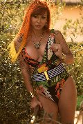 Foto 3318788751 Allana Transescort Riccione - 63