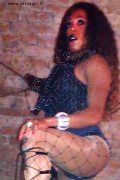 Foto 3332910933 Lady Paolina Mistresstrans Mestre - 3