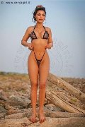 Foto 3337835540 Leona Girl An�polis - 5