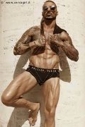 Foto 3341579418 Robby Torello Boy Pisa - 18