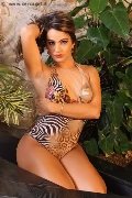 Foto 3342471717 Camilla Honey Transescort Bergamo - 169