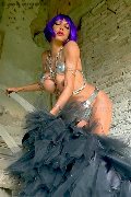 Foto 3387927954 Erotika Flavy Star Transescort Bergamo - 85