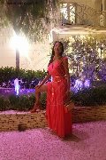 Foto 3387927954 Erotika Flavy Star Transescort Reggio Emilia - 433