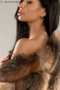 Foto 3459328852 Graziella Hot Girl Civitanova Marche - 4