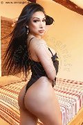 Foto 3474642611 Angel Bunny Transescort Milano - 33