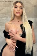 Foto 3474642611 Angel Bunny Transescort Milano - 3