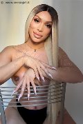 Foto 3474642611 Angel Bunny Transescort Milano - 1