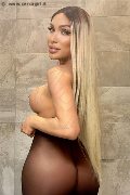 Foto 3474642611 Angel Bunny Transescort Milano - 2