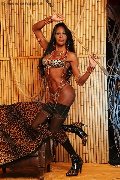 Foto 3488811524 Alessandra La Gatta Nera Transescort Torino - 47