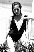 Foto 3489026722 Liisa Asiatica Ladyboy Trans - 382