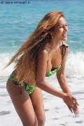 Foto 3489026722 Liisa Asiatica Ladyboy Trans - 320