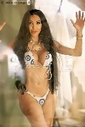 Foto 3518069231 Wanessa Armani Transescort Frosinone - 3