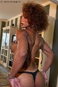 Foto 3663044467 Riccia Transescort Torino - 9