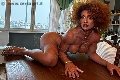 Foto 3663044467 Riccia Transescort Torino - 21