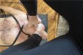 Foto 3762329100 Julia Mistress Cuneo - 13