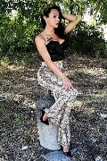 Foto 3891399263 Adriana Paulett Transescort Paese - 64