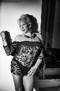 Foto 3911863087 Trans Evolution Transescort Bari - 82