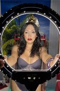 Foto 3922832689 Desirre Transescort Reggio Calabria - 6
