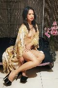 Foto 3932233064 Biancaladyboy Transescort Pordenone - 37