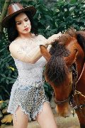 Foto 3932233064 Biancaladyboy Transescort Pordenone - 9