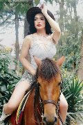 Foto 3932233064 Biancaladyboy Transescort Pordenone - 12