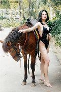 Foto 3932233064 Biancaladyboy Transescort Pordenone - 6