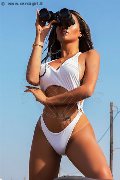 Foto 3936529793 Nauana Lima Pornostar Transescort Milano - 216