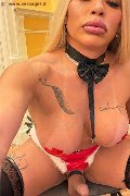 Foto Hot 3293358987 Nicoly Transescort Bruxelles - 2
