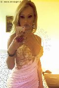 Milano Trans Escort Lolyta Barbie 329 15 33 879 foto selfie 15