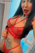 Bergamo Trans Escort Thayys Castro 329 72 89 046 foto selfie 47