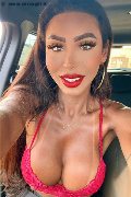Bergamo Trans Escort Thayys Castro 329 72 89 046 foto selfie 20